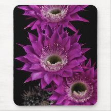 Maria Piazza a la tercera