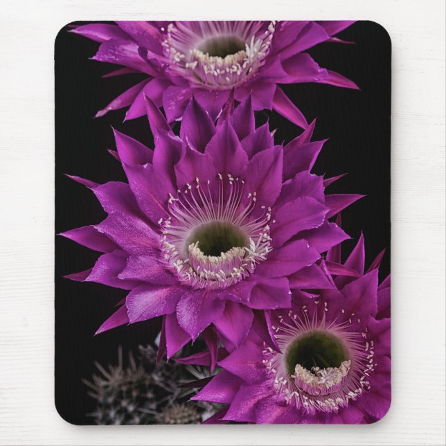 Alfombrilla De Ratón Maria Piazza a la tercera (Frente)