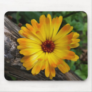 Alfombrilla De Ratón marigold en el registro