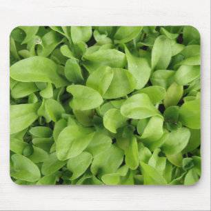 Alfombrilla De Ratón Marigold Seedlings Mousepad