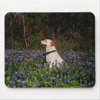 Alfombrilla De Ratón Marinero en el mousepad de los bluebonnets