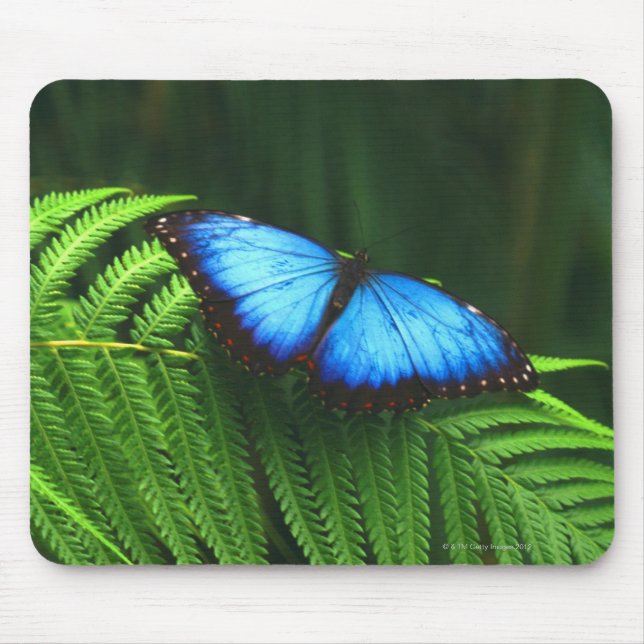 Alfombrilla De Ratón mariposa (Frente)