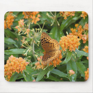 Alfombrilla De Ratón mariposa