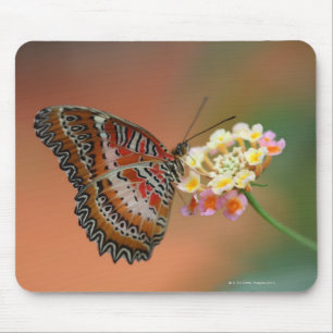 Alfombrilla De Ratón mariposa 2