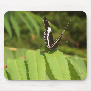Alfombrilla De Ratón Mariposa 3D
