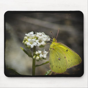 Alfombrilla De Ratón Mariposa amarilla