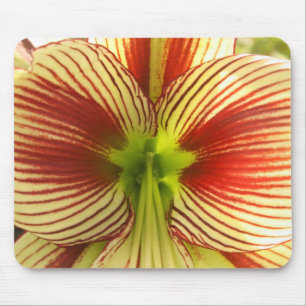 Alfombrilla De Ratón Mariposa Amaryllis
