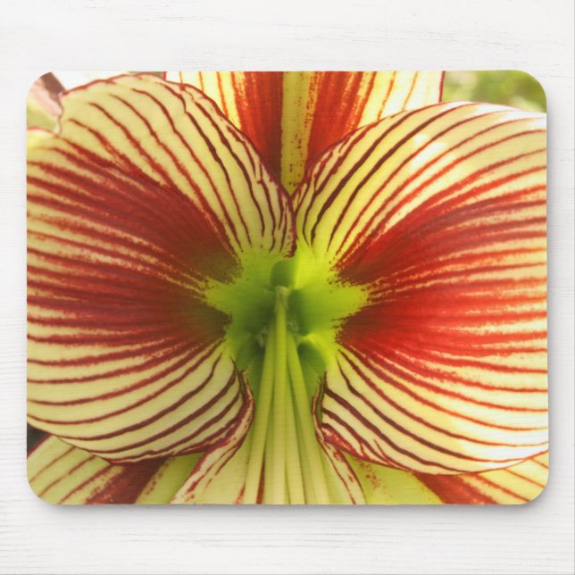 Alfombrilla De Ratón Mariposa Amaryllis (Frente)