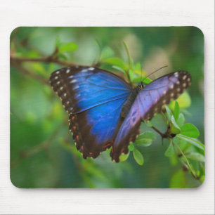 Alfombrilla De Ratón Mariposa azul