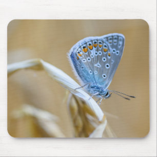 Alfombrilla De Ratón mariposa, azul común, insecto
