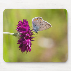 Alfombrilla De Ratón Mariposa azul en una flor morada