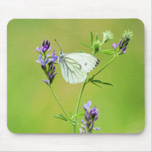 Alfombrilla De Ratón Mariposa blanca veteada verde