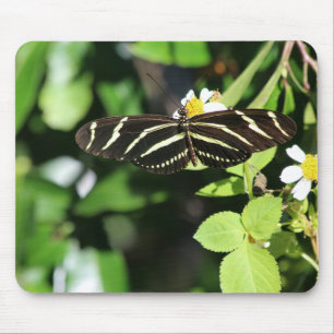 Alfombrilla De Ratón Mariposa cebra