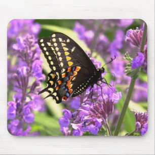 Alfombrilla De Ratón Mariposa - cola de golondrina americana en flor de
