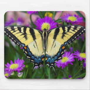 Alfombrilla De Ratón Mariposa cola de golondrina en margarita