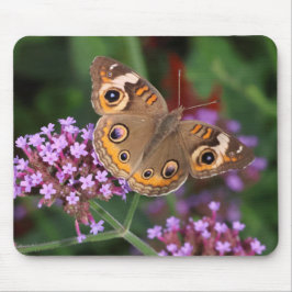 Alfombrilla De Ratón Mariposa de Buckeye común en Verbena Mousepad