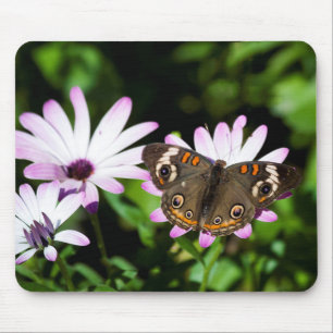 Alfombrilla De Ratón Mariposa de Buckeye sobre las flores moradas