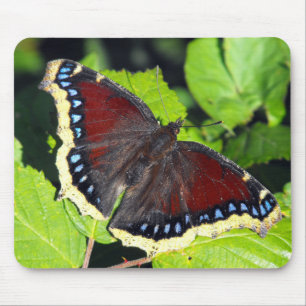 Alfombrilla De Ratón Mariposa de capa de la belleza o de luto de