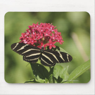 Alfombrilla De Ratón Mariposa de cebra, Helicónica