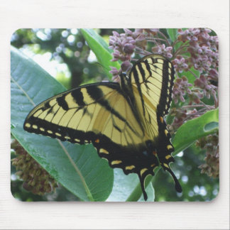 Alfombrilla De Ratón Mariposa de cola torta I en Milkweed en Shenandoah