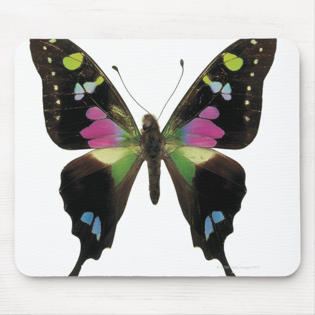 Alfombrilla De Ratón Mariposa de Graphio (Frente)