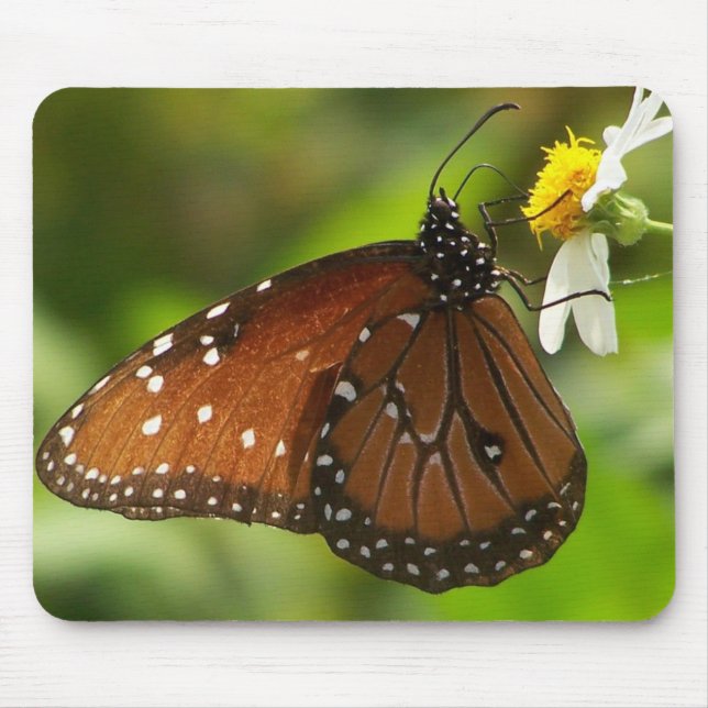 Alfombrilla De Ratón Mariposa de monarca (Frente)