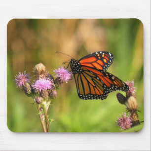 Alfombrilla De Ratón Mariposa de monarca