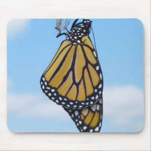 Alfombrilla De Ratón Mariposa de monarca, con la crisálida