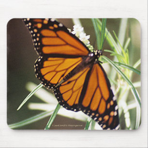Alfombrilla De Ratón Mariposa de monarca Mousepad