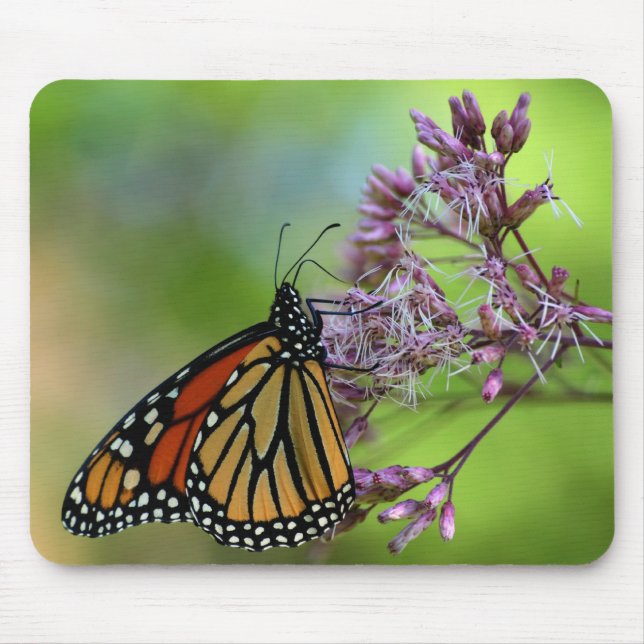 Alfombrilla De Ratón Mariposa de monarca Mousepad - contra verde (Frente)
