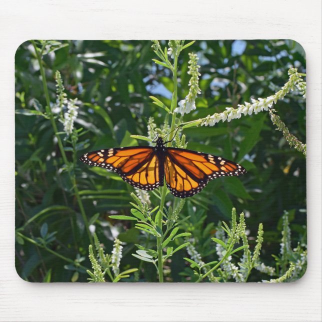 Alfombrilla De Ratón Mariposa de monarca Mousepad natural (Frente)
