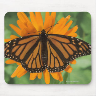 Alfombrilla De Ratón Mariposa de monarca (plexippus del Danaus) en el