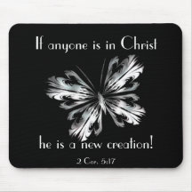 Mariposa del gris de plata