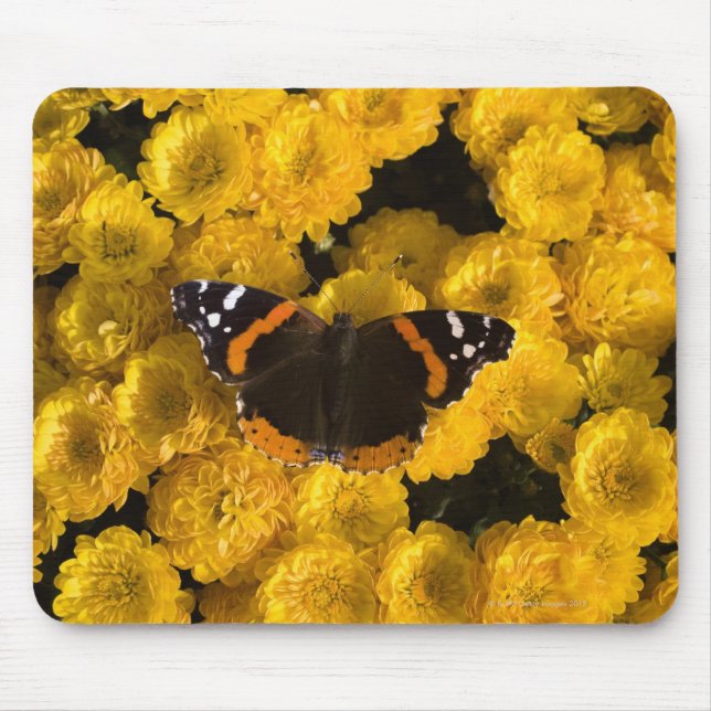 Alfombrilla De Ratón Mariposa en astros amarillos (Frente)