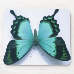 Alfombrilla De Ratón Mariposa en blanco