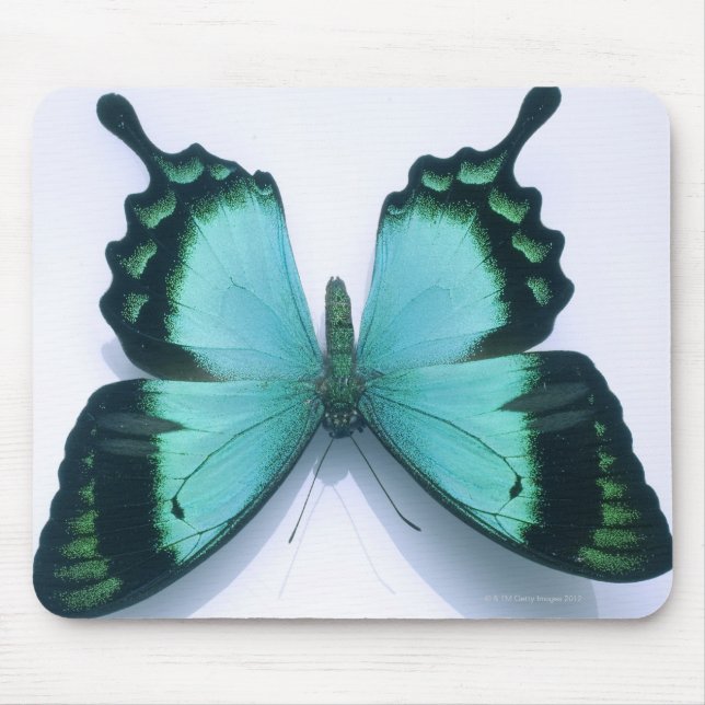 Alfombrilla De Ratón Mariposa en blanco (Frente)