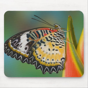 Alfombrilla De Ratón Mariposa en Flor Tropical