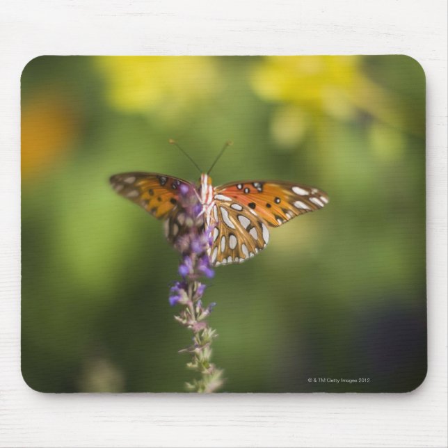 Alfombrilla De Ratón Mariposa en flores silvestres (Frente)