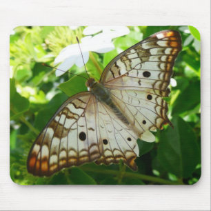 Alfombrilla De Ratón Mariposa en Fotografía de Naturaleza Tropical de J
