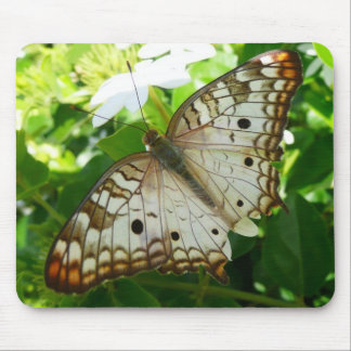 Alfombrilla De Ratón Mariposa en Fotografía de Naturaleza Tropical de J