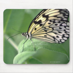 Alfombrilla De Ratón Mariposa en hoja