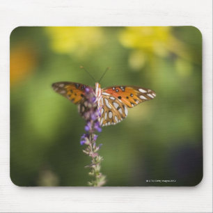 Alfombrilla De Ratón Mariposa en wildflowers