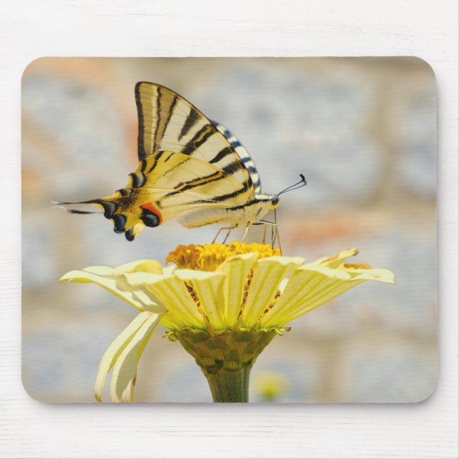 Alfombrilla De Ratón mariposa, flores, naturaleza (Frente)