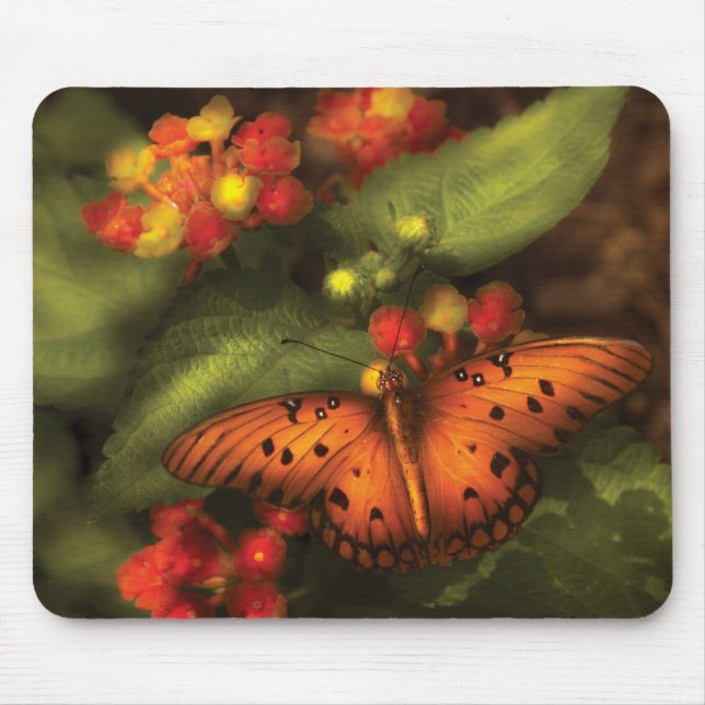 Alfombrilla De Ratón Mariposa - Heliconius (Frente)