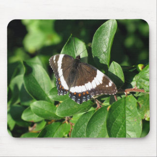 Alfombrilla De Ratón Mariposa hermosa