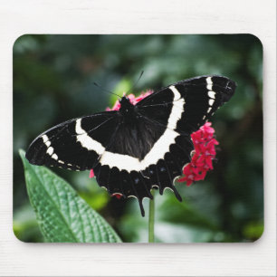 Alfombrilla De Ratón Mariposa Lolipop Mousepad