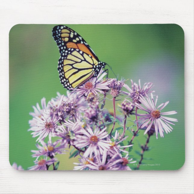 Alfombrilla De Ratón Mariposa monarca (Frente)