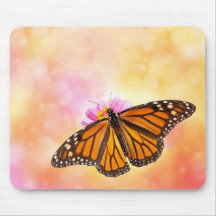 Mariposa monarca de ensueño