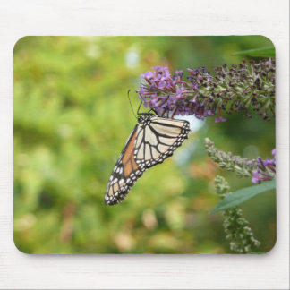 Alfombrilla De Ratón Mariposa Monarca en Buddleja