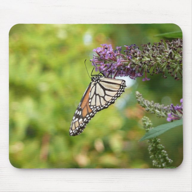 Alfombrilla De Ratón Mariposa Monarca en Buddleja (Frente)